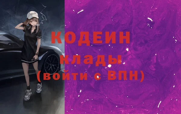 индика Елабуга