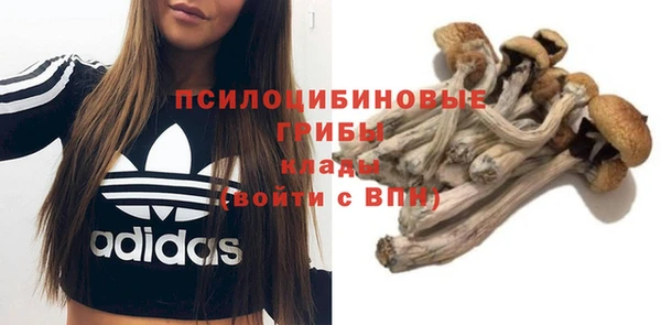 индика Елабуга