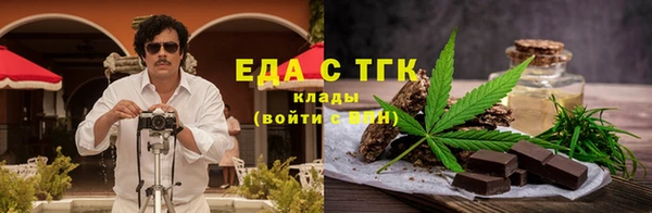 гидра Ельня
