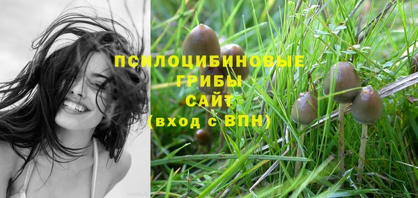 экстази Елизово