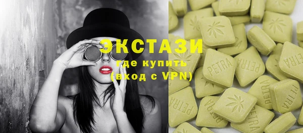 гидра Ельня