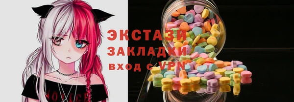 гидра Ельня