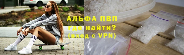 индика Елабуга