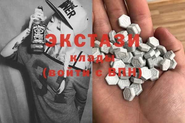 индика Елабуга