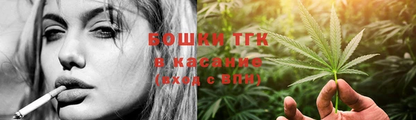индика Елабуга