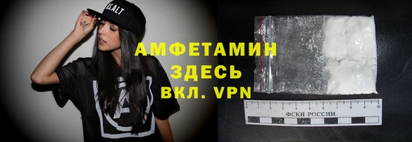 индика Елабуга