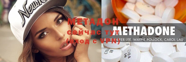 индика Елабуга