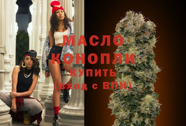 гидра Ельня