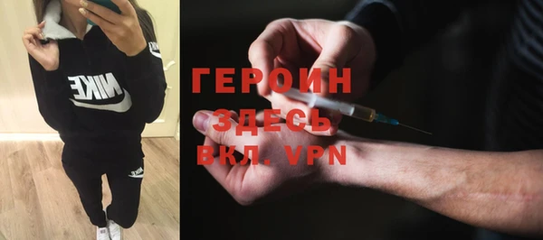 гидра Ельня