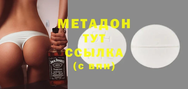 индика Елабуга
