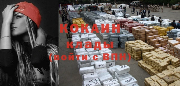 индика Елабуга
