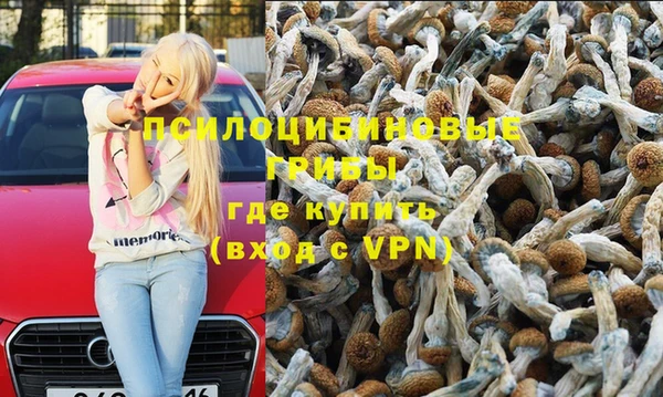 индика Елабуга