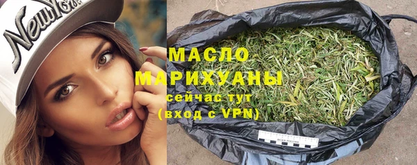 индика Елабуга