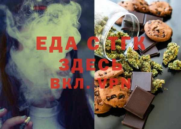 гидра Ельня