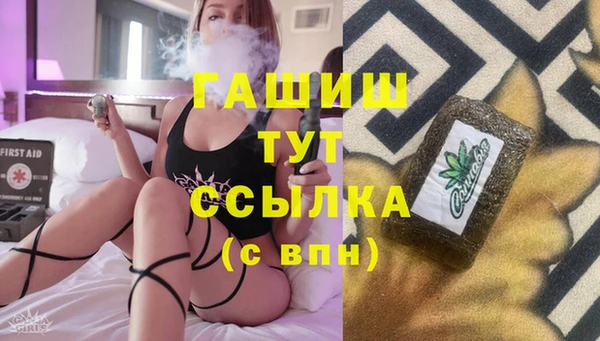 гидра Ельня