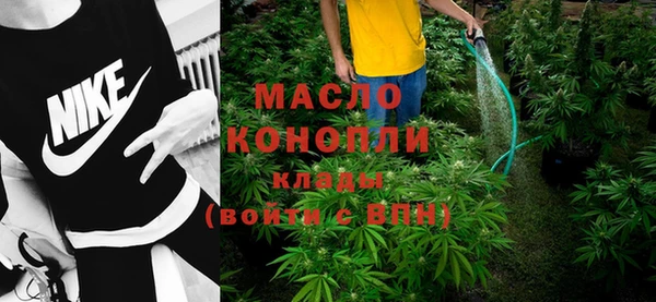 гидра Ельня
