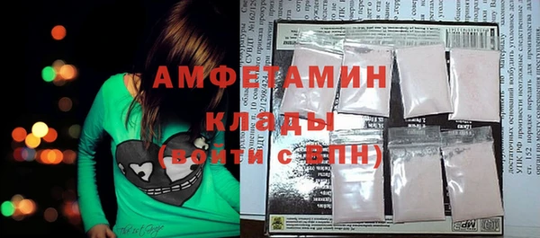 индика Елабуга