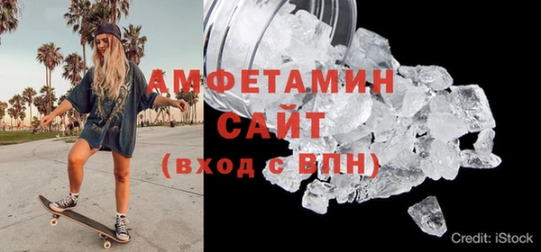гидра Ельня