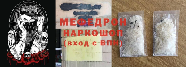 индика Елабуга