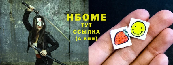 гидра Ельня