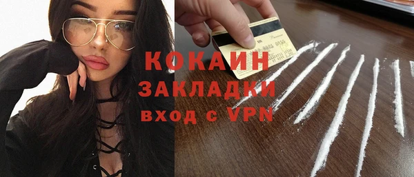 гидра Ельня