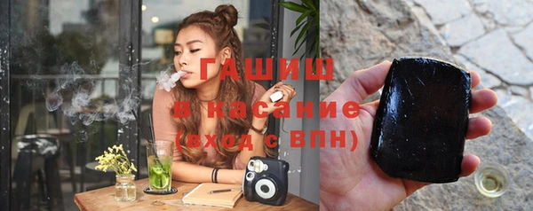 индика Елабуга