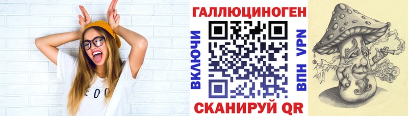 Купить где  Карачаевск  Галлюциногенные грибы Psilocybe 
