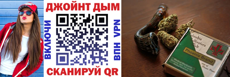 Каннабис планчик  Купить  Карачаевск 